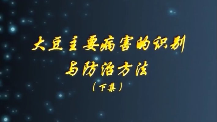 大豆主要病害的識別與防治(2)