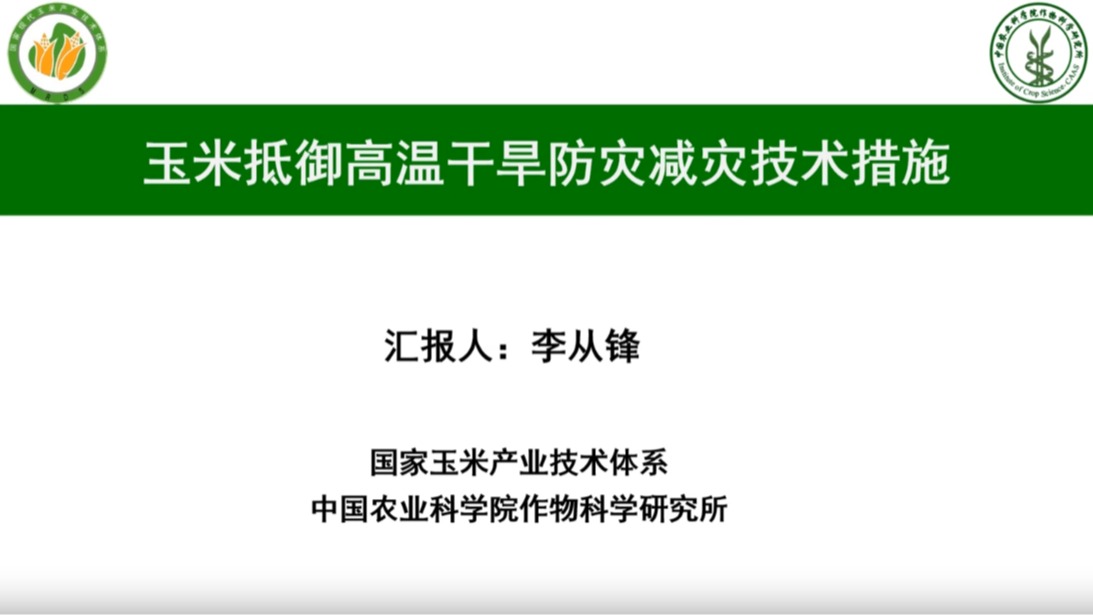 玉米抵御高溫干旱防災減災技術措施