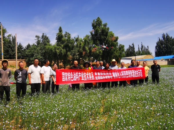 植保所在定西市開(kāi)展國(guó)家特色油料產(chǎn)業(yè)技術(shù)體系草害防控崗位項(xiàng)目現(xiàn)場(chǎng)測(cè)試