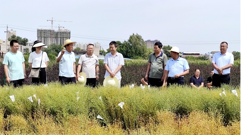 黨委書記劉國漢到特油體系蘭州試驗(yàn)站檢查指導(dǎo)工作