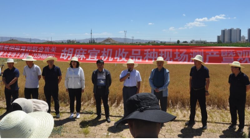 我院組織開展國家特色油料產(chǎn)業(yè)技術體系胡麻新品種、新技術 試驗示范觀摩會