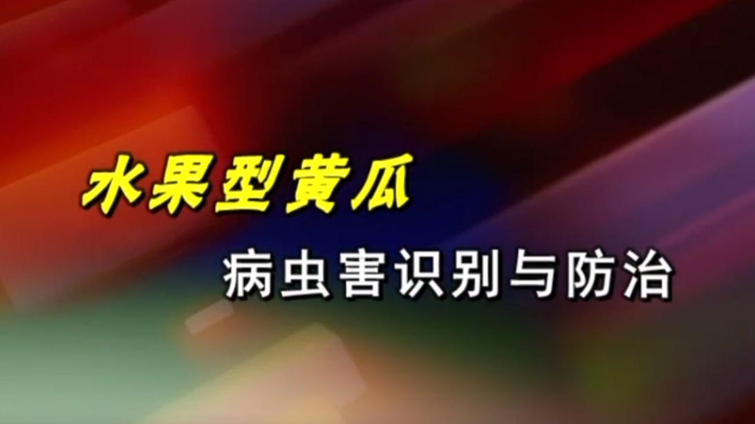 水果型黃瓜病蟲害識(shí)別與防治