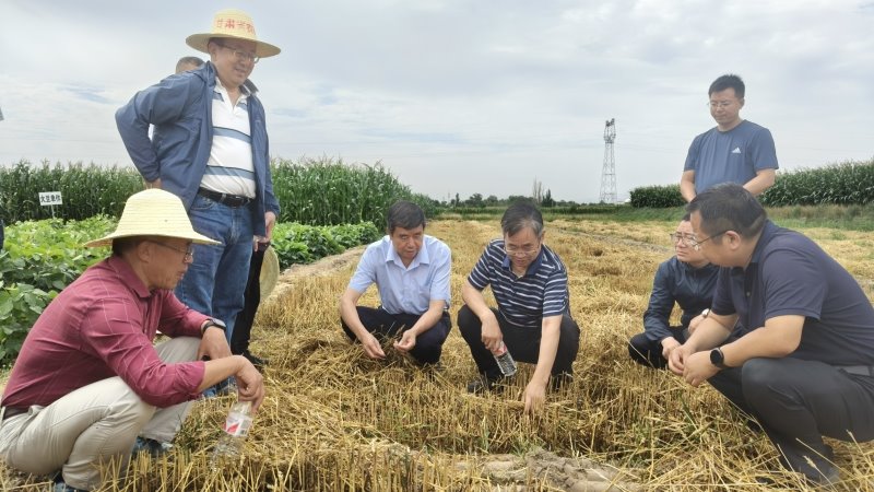 中國(guó)工程院院士徐明崗一行赴我院科研試驗(yàn)示范基地專題調(diào)研指導(dǎo)