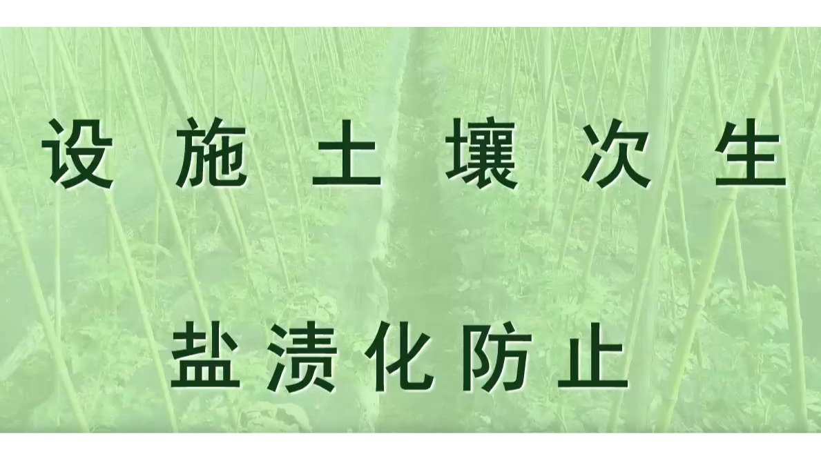 設(shè)施土壤次生鹽漬化的發(fā)生原因及防止方法