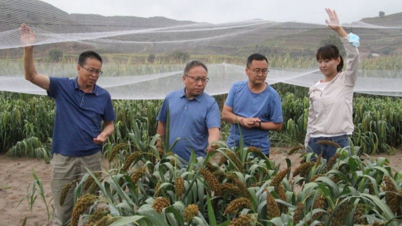 樊廷錄赴會寧試驗站檢查院列生物育種項目