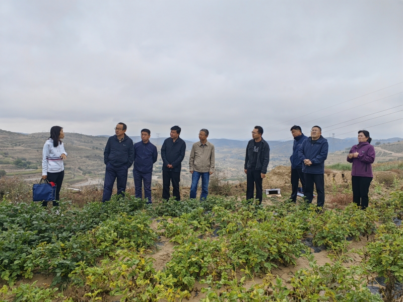 旱農(nóng)所在安定區(qū)組織開展“高標(biāo)準(zhǔn)農(nóng)田耕地熟化技術(shù)研究與模式集成示范”項目現(xiàn)場觀摩及測產(chǎn)會