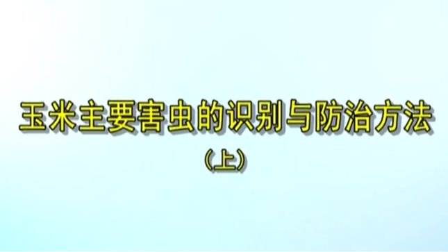 玉米主要害蟲的識別與方法(上)